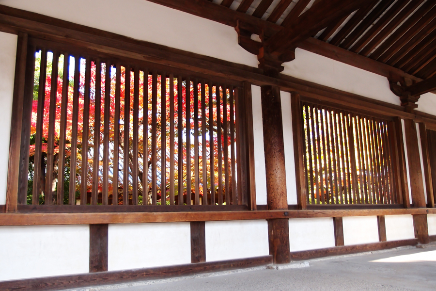 格子越しの銀杏の黄色と紅葉の赤色が見える風景